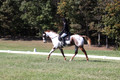Holly Holbrook on Two Bet Chloe, Beginner Novice Horse Trials Junior A