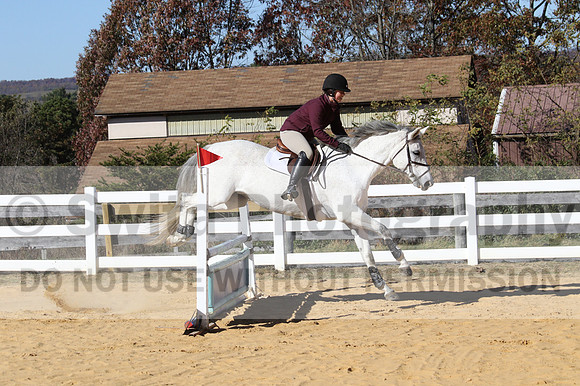 Shannon Bower on Bastille, Beginner Novice Combined Test