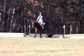 Erica Jones on Bingo, Advanced Green Horse Trials Senior A