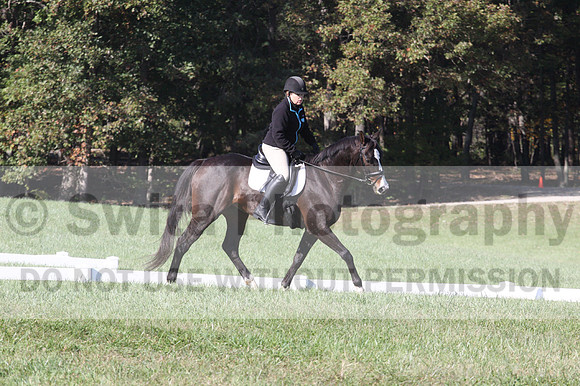Mimi Combs on Aristocrat, Beginner Novice Horse Trials Senior A
