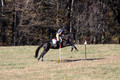 Leah Childers on Priscilla, Beginner Novice Horse Trials Junior B