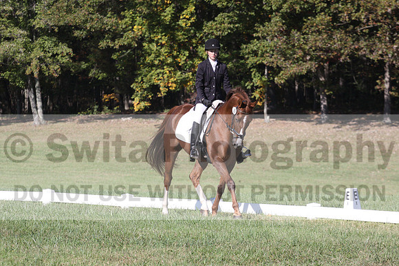 Maggie Proffitt on Wallstreet Melody, Novice Horse Trials Junior