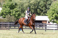 Jennifer Treacy on Happy Harry, BNR