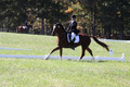Emily Kagey on Flicka, Beginner Novice Horse Trials Junior A