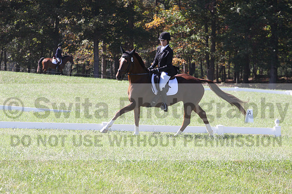 Emily Kagey on Flicka, Beginner Novice Horse Trials Junior A