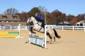 Brynn Katany on Cady O'Daly Artisan, Beginner Novice Horse Trials Junior A