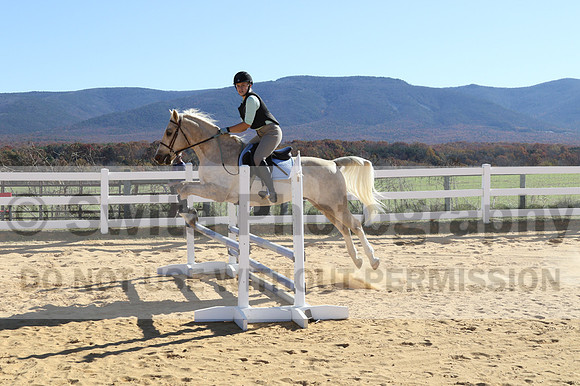 Anna Kryder on MEMC Playboy, Beginner Novice Horse Trials Junior A