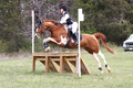 VA2K0516