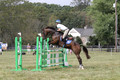 Sara Lieser on Osh Kosh, OI