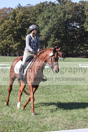 Jenny Rosner on Curious, Beginner Novice Horse Trials Senior A