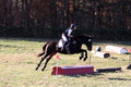 Dorothy Lower on The Wizard Of Oz, Advanced Green Horse Trials Junior A