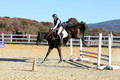 Dorothy Lower on The Wizard Of Oz, Advanced Green Horse Trials Junior A