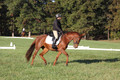 Jenny Rosner on Abbey Moon, Training Horse Trials