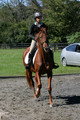 Jenny Rosner on Curious, Advanced Green HT Senior
