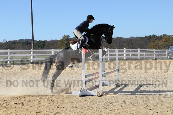 Lauren Seitz on Lyra, Beginner Novice Combined Test