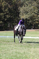 Judy Lancaster on Ride Sallie Ride, Beginner Novice Horse Trials Senior B