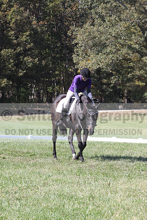 Judy Lancaster on Ride Sallie Ride, Beginner Novice Horse Trials Senior B
