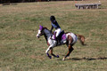 Holly Holbrook on Two Bet Chloe, Beginner Novice Horse Trials Junior A