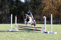Kaitlyn Schmidt on Dandy, Advanced Green Horse Trials A