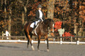 Thea Miller on Something Glamorous, Dressage Only: Training Level, Test 3
