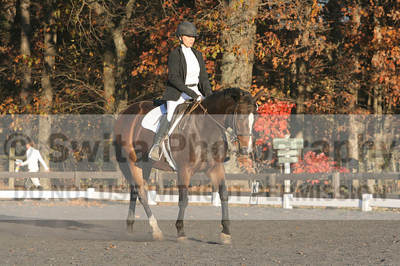 Thea Miller on Something Glamorous, Dressage Only: Training Level, Test 3