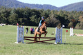 Clay Cooke on Clifford Dun It Again, Advanced Green Horse Trials B