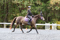 O32K1317