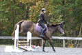 O32K1339