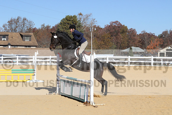 Lauren Seitz on Lyra, Beginner Novice Combined Test