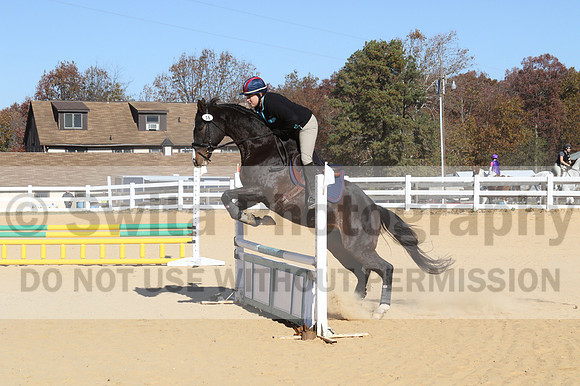 Mimi Combs on Aristocrat, Beginner Novice Horse Trials Senior A