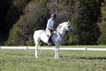 Jeanne Jeffer on Snowball's Chance, Green Horse Trials