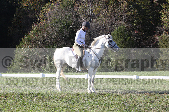 Jeanne Jeffer on Snowball's Chance, Green Horse Trials