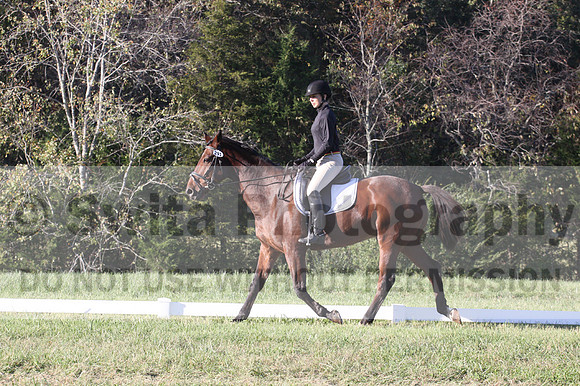Kelly Linn on Hanover, Green Horse Trials