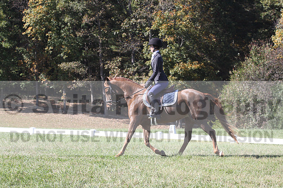 Alexis Hobbs on PJ, Beginner Novice Horse Trials Junior B