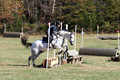 CS2K1165