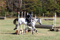 CS2K1167