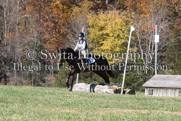 CS2K1190