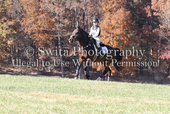 CS2K1193