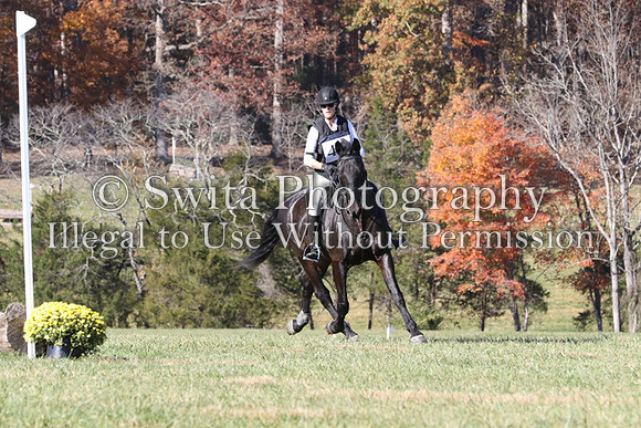 CS2K1352