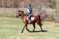 CS2K1256