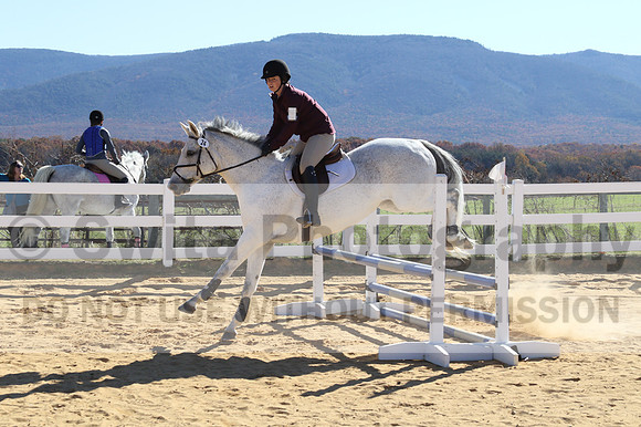 Shannon Bower on Bastille, Beginner Novice Combined Test