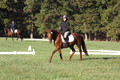 Jenny Rosner on Abbey Moon, Training Horse Trials