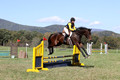 Emily Digney on American Airman, Beginner Novice Horse Trials Senior B