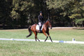 Katie LaValle on High Speed Internet, Beginner Novice Horse Trials Senior A