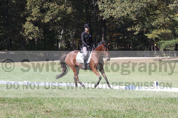 Katie LaValle on High Speed Internet, Beginner Novice Horse Trials Senior A