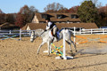 Kendall Duffy on Aspen, Green Horse Trials Senior