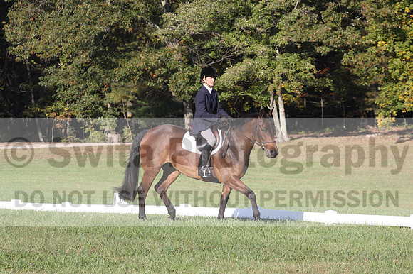 Kip Holloway on Dora Cymbeline, Novice Horse Trials Senior A