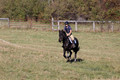 Leah Childers on Priscilla, Beginner Novice Horse Trials Junior B