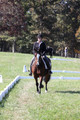 Elaine Groves on Luidonna, Beginner Novice Horse Trials Senior B