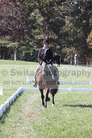 Elaine Groves on Luidonna, Beginner Novice Horse Trials Senior B